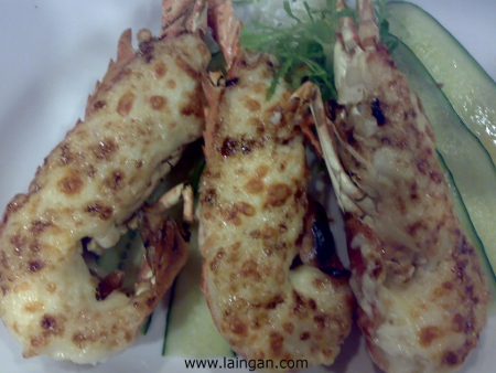 baked-lobsters