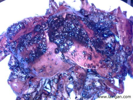 pepper-crabs